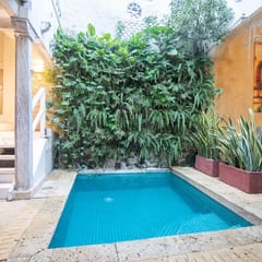 Wander Cartagena Oasis