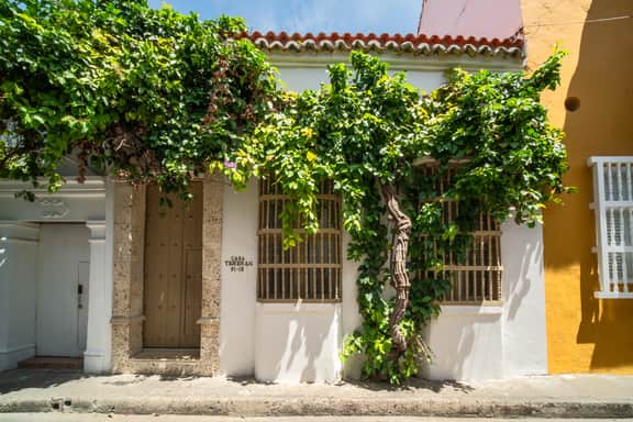 Wander Cartagena Garden - Image 4
